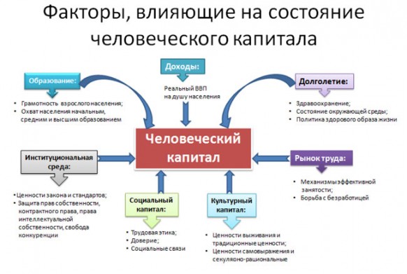 В России высокий человеческий капитал