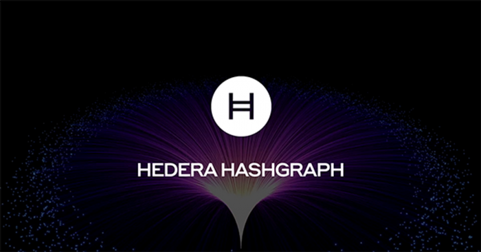 Hedera Hashgraph курс актуальный на сегодняшний день